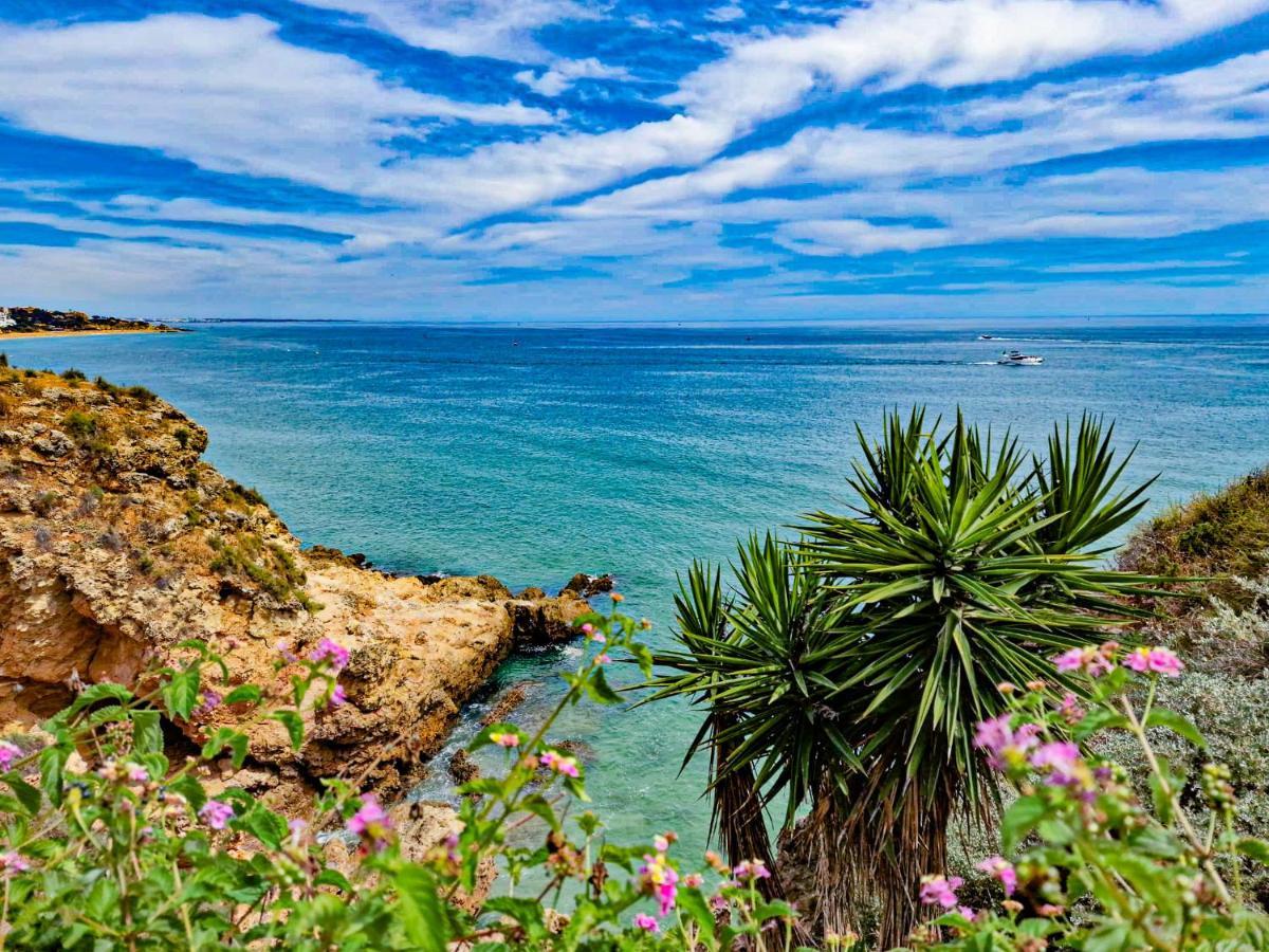 アルブフェイラJardins Do Mar - By Bedzyアパートメント エクステリア 写真